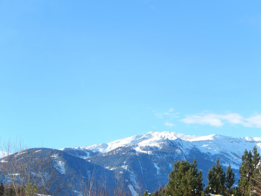 Alpenchalet Mitterberg Mariapfarr Rum bild